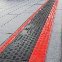 Black Line Ramps In-Situ