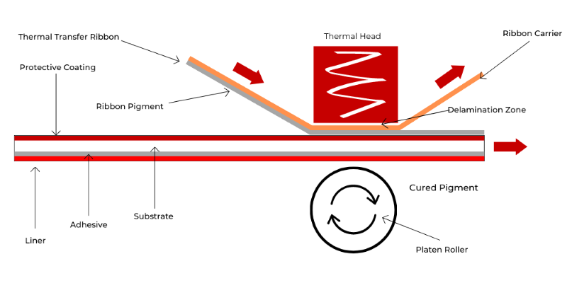 Thermal Transfer Printing 